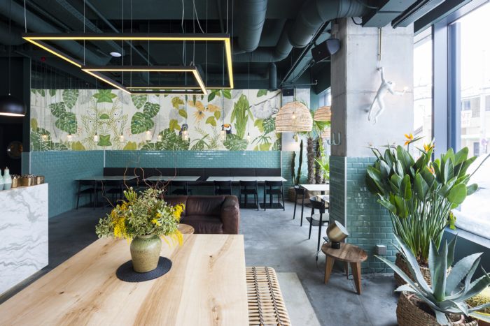 Phong cách thiết kế cafe khu rừng nhiệt đới 11
