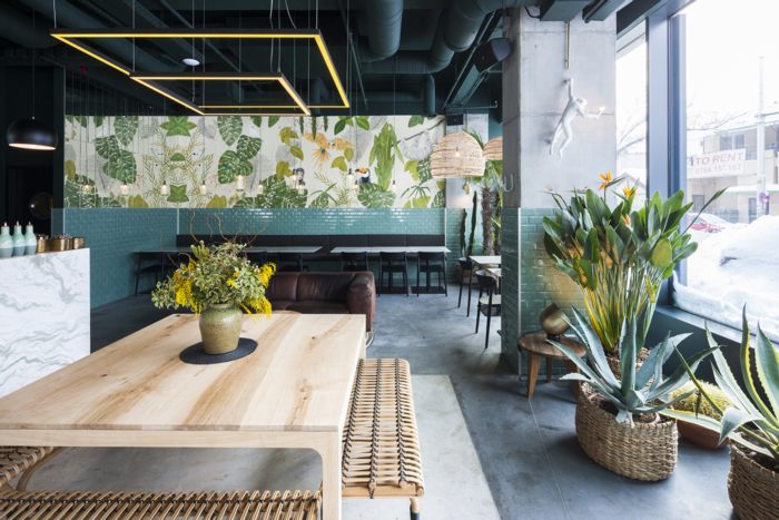 Phong cách thiết kế cafe khu rừng nhiệt đới,giá làm cafe rẻ đẹp