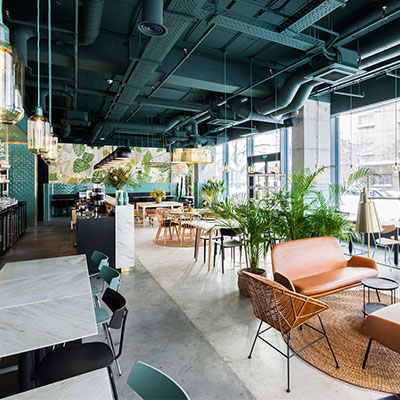 Phong cách thiết kế cafe khu rừng nhiệt đới
